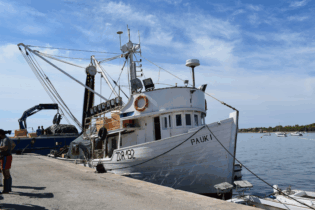 Fishing harbour Western Cape