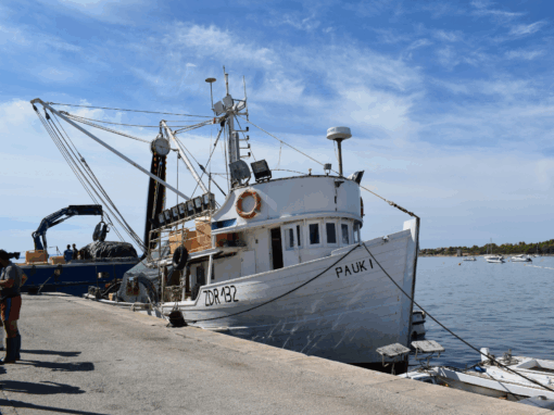 Fishing harbour Western Cape