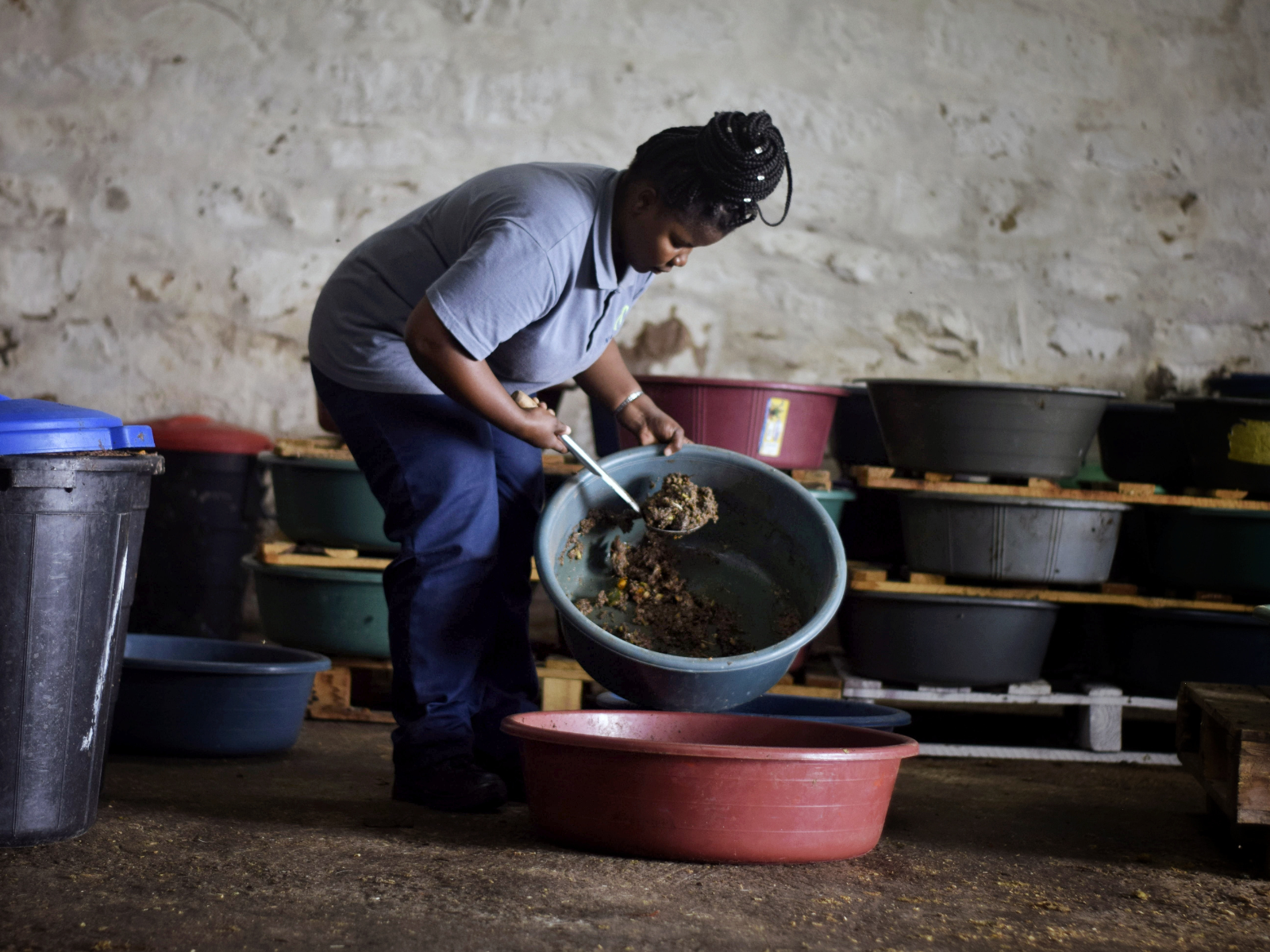 Insect farming Nambu warehouse for products