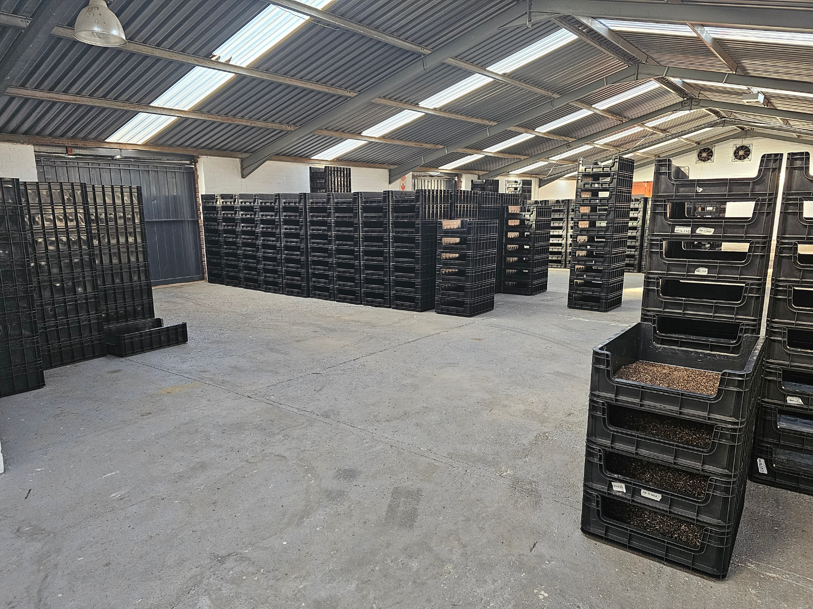 Insect farming South Africa warehouse