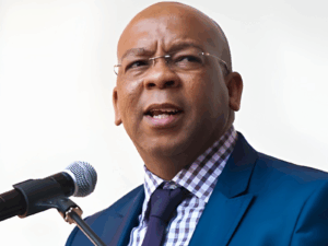 Minister of Electricity and Energy, Dr Kgosientsho Ramokgopa