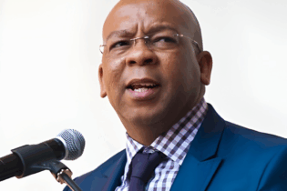 Minister of Electricity and Energy, Dr Kgosientsho Ramokgopa