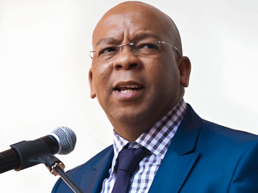 Minister of Electricity and Energy, Dr Kgosientsho Ramokgopa