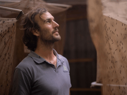 Nambu Insect farming