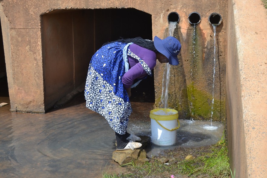 Residents of Rookdale