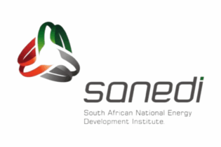 SANEDI logo