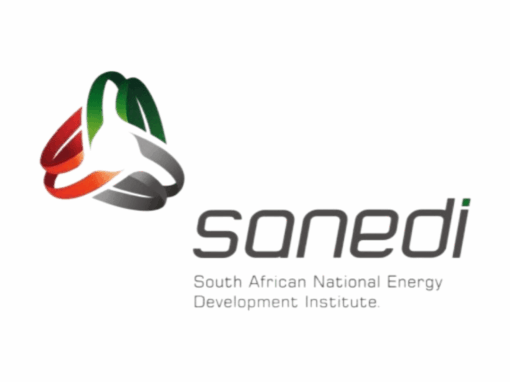 SANEDI logo