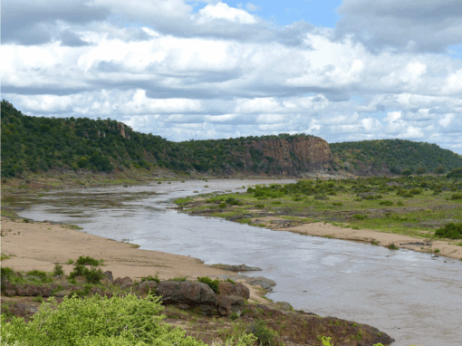 The Olifants River catchment