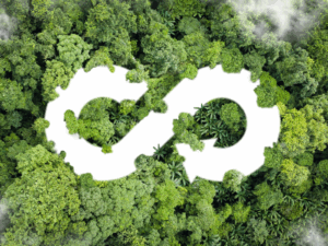 circular economy for electronic waste