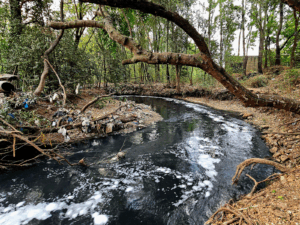 solid waste management solutions for river waste