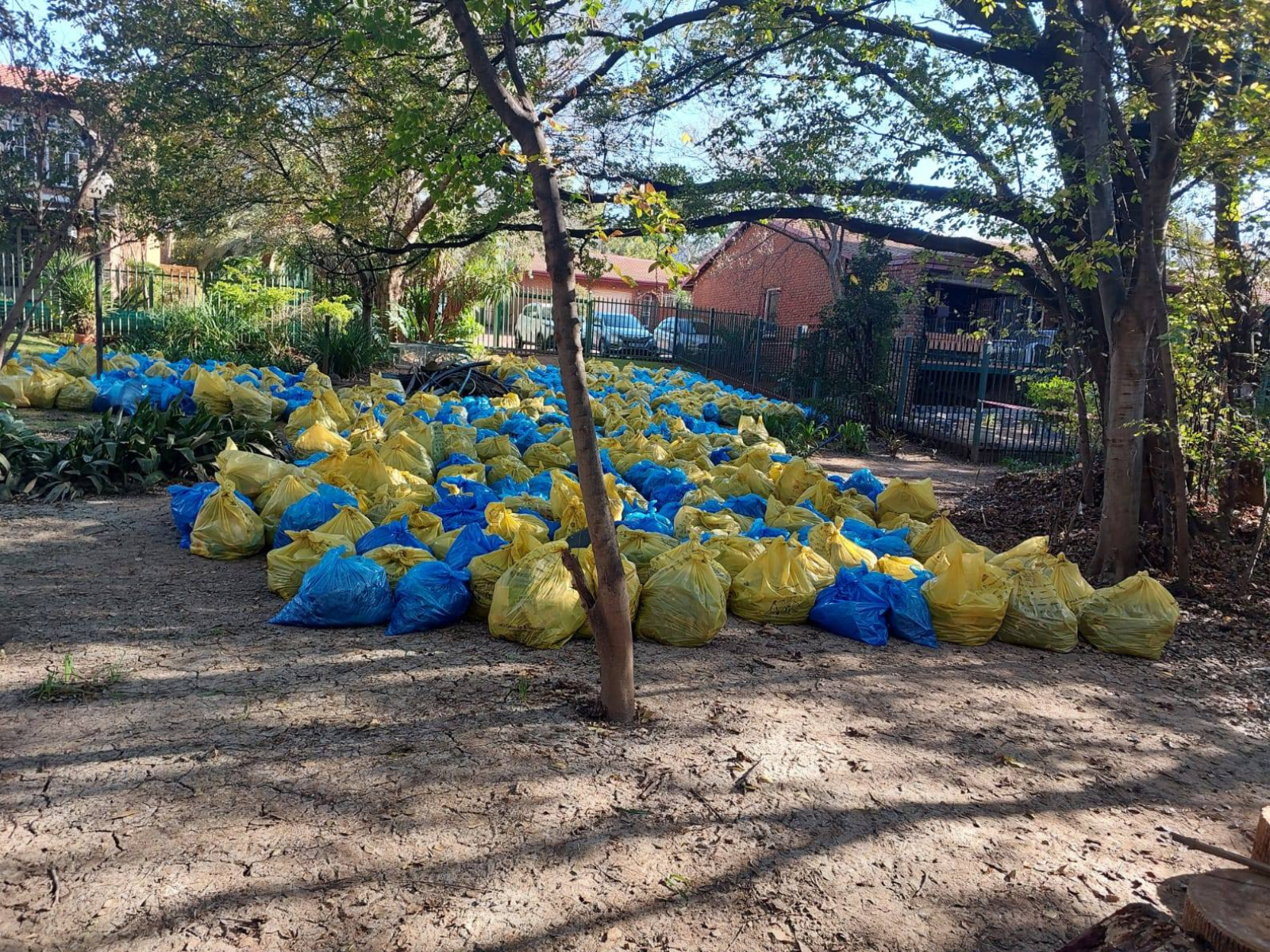 trash collected from river waste