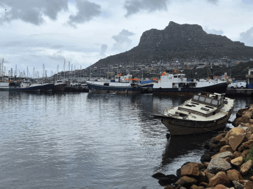 Hout Bay Harbour