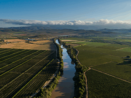 additional catchment management agencies in South Africa