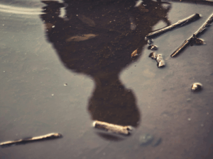 contaminated water typhoid outbreak