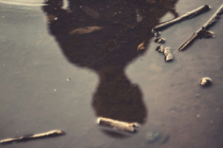 contaminated water typhoid outbreak