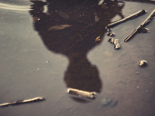 contaminated water typhoid outbreak