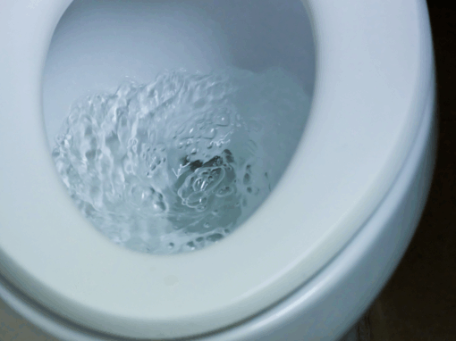 water-efficient sanitation solutions for saving water