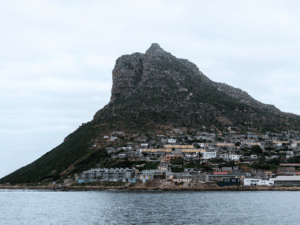 Human Settlements growth across land in South Africa