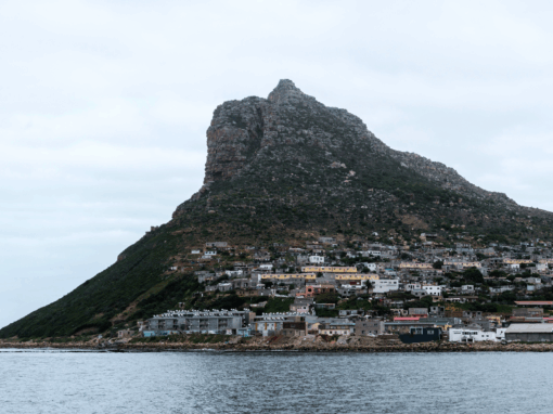 Human Settlements growth across land in South Africa