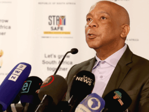 Minister of Electricity and Energy, Dr Kgosientsho Ramokgopa