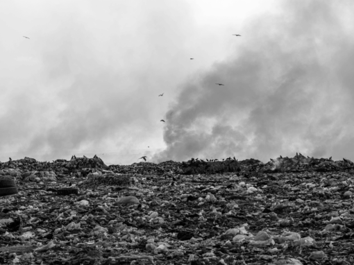 landfill filled with rubbish