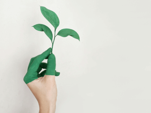 net zero green plant in a circular economy