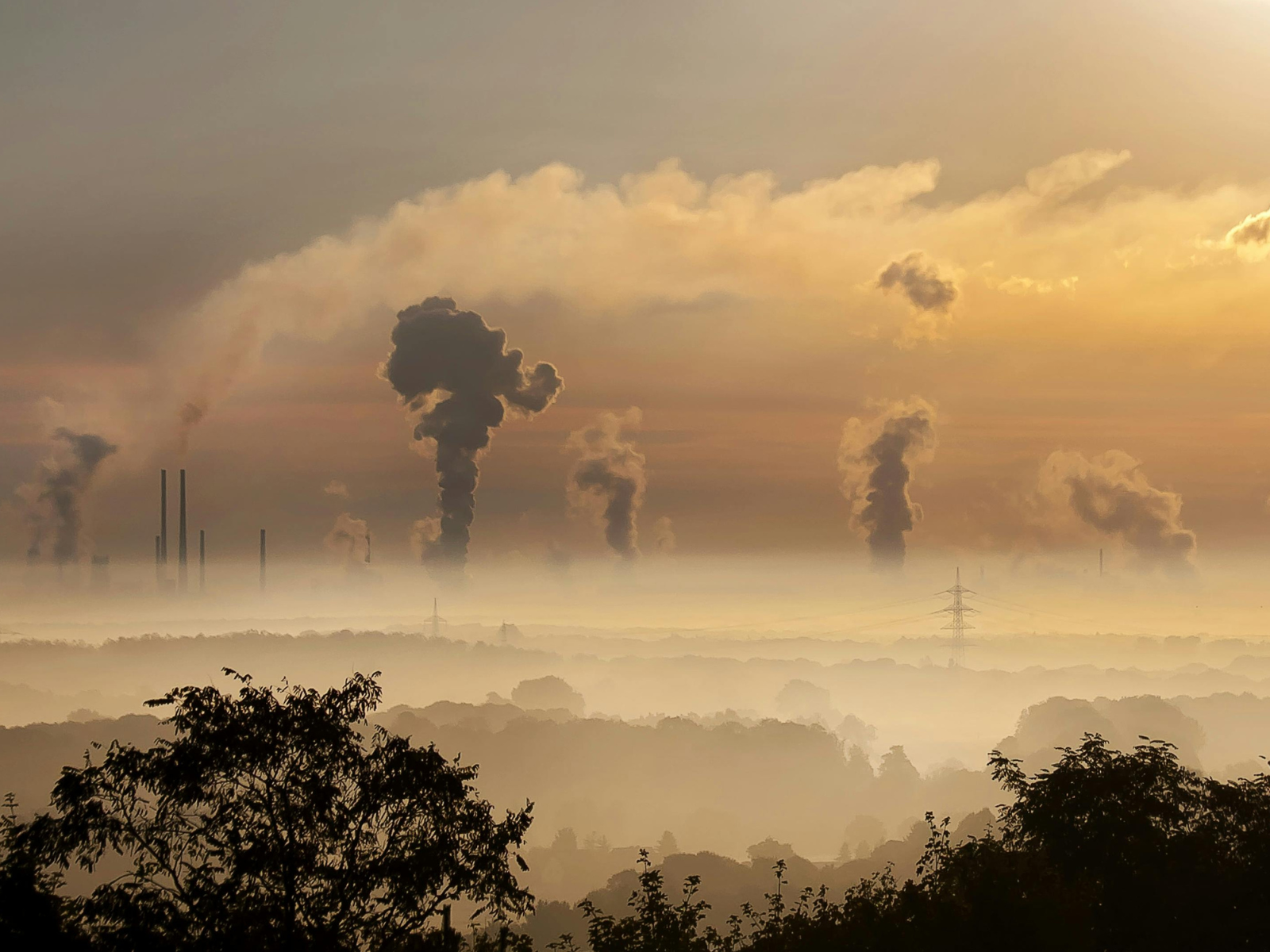 uncontrolled carbon emissions