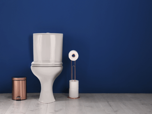 Arumloo, a water-efficient toilet company