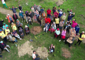 Community members during an invasive plant clean up