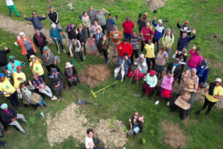 Community members during an invasive plant clean up