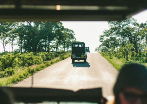 Kruger National Park