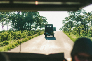 Kruger National Park