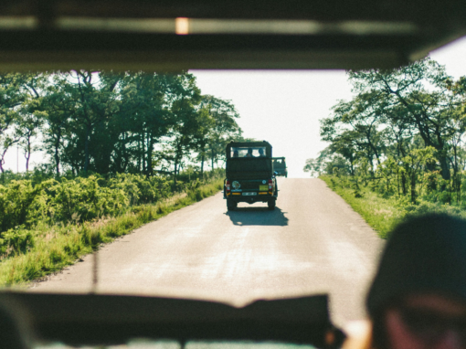 Kruger National Park