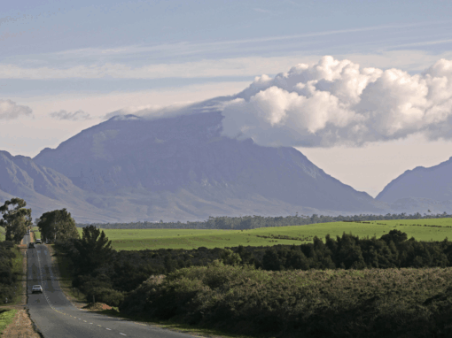 Tulbagh landscape in the Western Cape