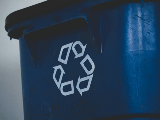 Waste Management licence