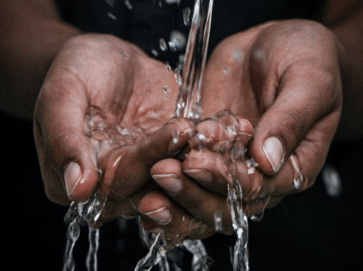 collecting water in cupped hands