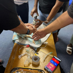 post crash medical assistance