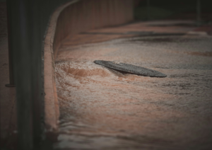 Flood waters high in Limpopo South Africa