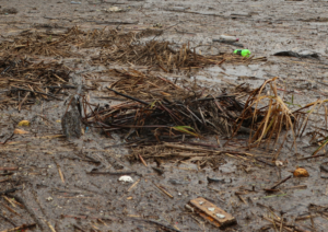 Limpopo flood waters