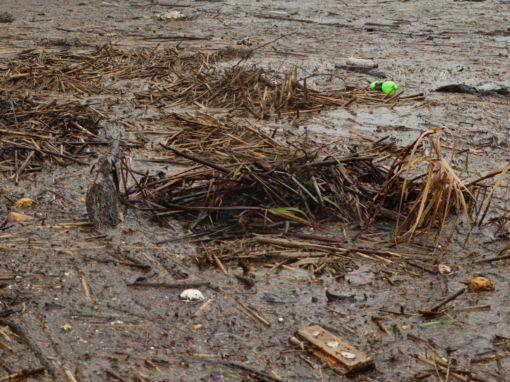 Limpopo flood waters
