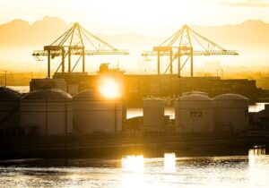 cape town harbour for fisherman