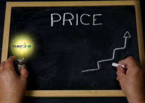 electricity price increase by NERSA