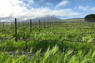 farm irrigation south africa