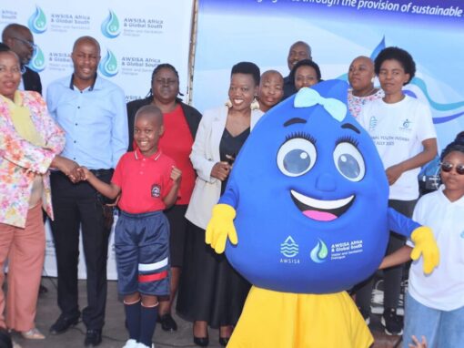 AWSISA Global South event