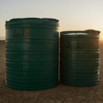 JoJo Tanks on a cracked dry field