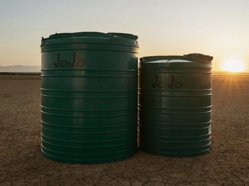 JoJo Tanks on a cracked dry field