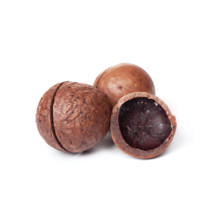 Macadamia nut picture upclose