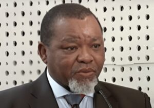 Mineral and Petroleum Resources Minister Gwede Mantashe