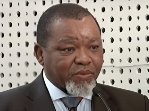 Mineral and Petroleum Resources Minister Gwede Mantashe
