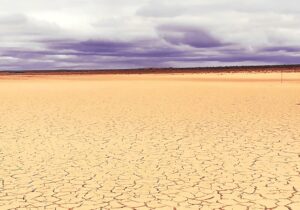 Romanskolk, a farm near Brandvlei in the study area, showing what drought looks like. Courtesy Danita Hohne